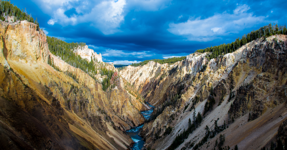 5 Real Cowboys From Yellowstone