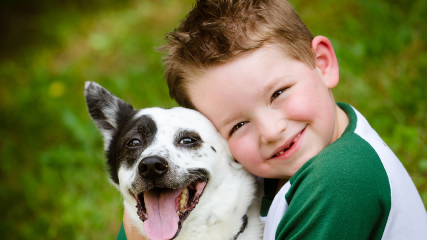 Introduce Your Children to Caring for Animals with These Fantastic Pets