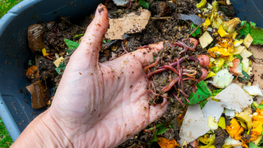 Building a Compost Bin: Easy DIY Projects for Beginners