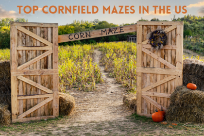 Top Cornfield Mazes in the US