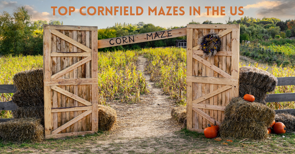 Top Cornfield Mazes in the US