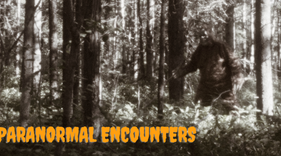 Sasquatch, Mothman, and Unusual Encounters in the Shenandoah Valley