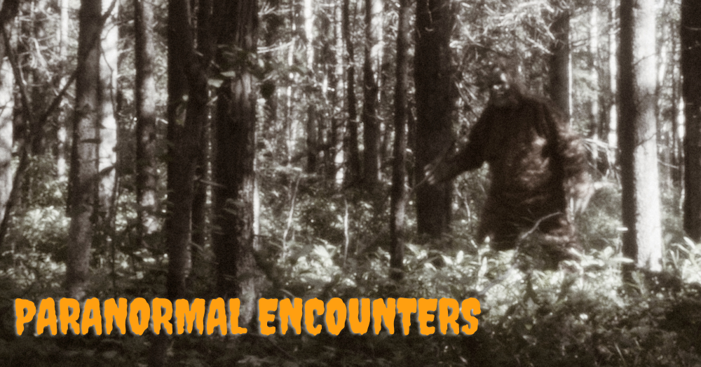 Sasquatch, Mothman, and Unusual Encounters in the Shenandoah Valley